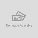 Celebrating the debut of the Train of Thought Press website.